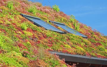 Abdon living roof systems
