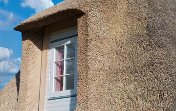 Abdon thatch roof disadvantages